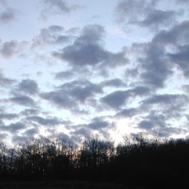 2503-photo-paysage-ciel-lisière-arbres-ln-le-cheviller