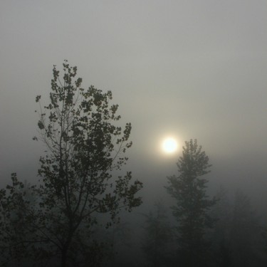 Brume d'automne