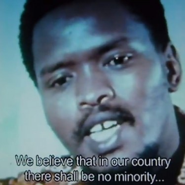 steve Biko, paroles