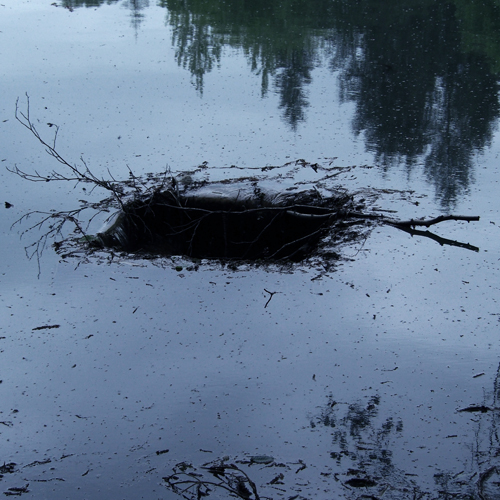 Carré noir dans la surface de l'eau d'un étang