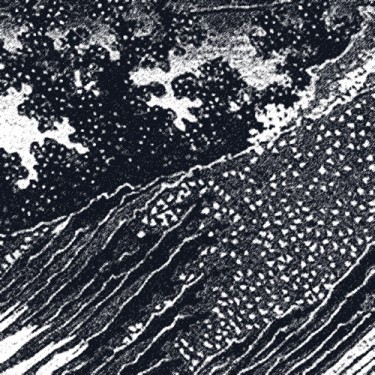 hokusai au noir